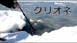 試される大地　クリオネ捕獲作戦！　【水中カメラが捕らえた！】