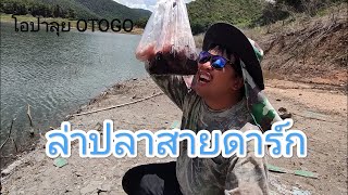 #ตกปลา สายดาร์กแบบล้างแค้น...เขื่อนแม่กวง หมาย 005