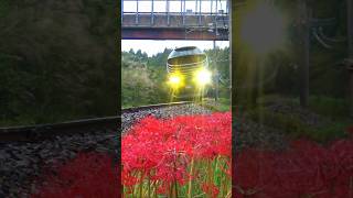 #shorts 版 87系 トワイライトエクスプレス瑞風 山家～立木 20241008　Twilight Express Mizukaze 08Oct2024 Yamaga ⇒ Tachiki