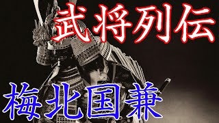 梅北国兼　豊臣政権に反発し梅北一揆を起こした張本人