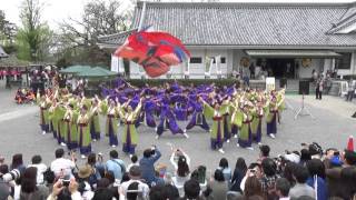 2016 4 10 どまつり夜桜in岡崎  家康館前会場  夜宵