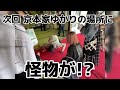 【ジャニオタ】京本大我聖地巡礼in広島！！part1