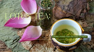 Lotus Tea: Superb 6 Things That You Need To Know!