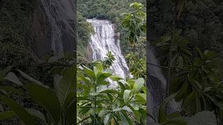 Kirindi Ella Falls | කිරිඳි ඇල්ල Sri Lanka #travel #nature #srilanka #waterfall #nature #shorts