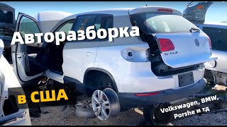 Авто разборка в Америке | Выкинули Volkswagen Tiguan? Запчасти и заработок