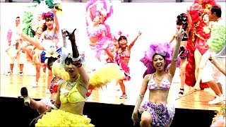 神戸まつり2015　神戸サンバチーム