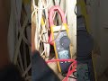 clamp meter electrical shortvideo youtubeshorts shorts