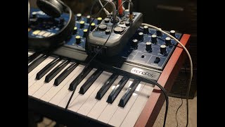 Exploring the Behringer MonoPoly Analog Synthesizer, no talking