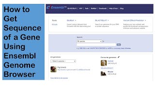 How to Get Sequence of a Gene Using Ensembl Genome Browser