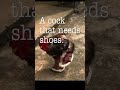 A chicken who likes to wear shoes #shorts   #funny   #tiktok   #fyp