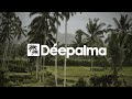 Mollono.Bass - Dancer in the Dark (Album Version) [Déepalma Records]