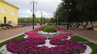 Темиртау приятная прогулка в парке вечером