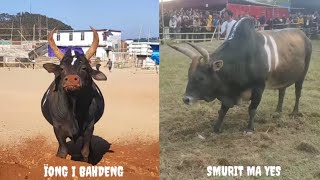 ÏONG I BAHDENG SPARTAN BULL 🆚 SMURIT MA YES(30/12/24) HA DYMPEP