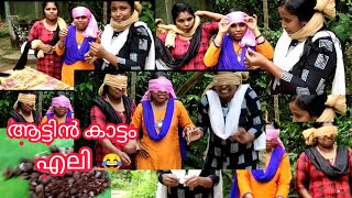 ചിരിക്കാൻ തയ്യാറാണോ🤣🤣🤣| ഒരു കിളി പോയ blind test | vlog#2 | Adhi's world