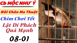 MỘC NHƯ Ý 8.1 - Cb Siêu Cầu Găm Dí Phách Nết Đánh Tơi | Dí Xoè. Mộc Lật 2 Mùa Sẵn chơi Tết !