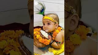 Happy janmashtami#birthday#karishna#khana#janmashtami#trending#shortvideo#status#4k#hd#beby#story