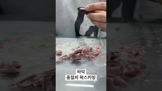 하악중절치 왁스카빙