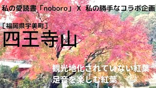 ［福岡県宇美町］四王寺山、足音を楽しむ紅葉、観光地化されていない紅葉