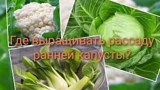 Выращивание ранней капусты. Как вырастить рассаду холодолюбивого и светолюбивого растения?