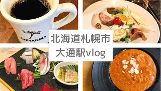 札幌グルメ 大通駅【北海道 ランチ カフェ 居酒屋 vlog】