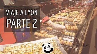 Vlog Viaje a Lyon: PARTE 2 - zoo, chalecos amarillos, nouvelle cuisine y museo bellas artes
