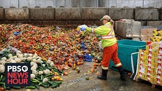 How Americans can change their mindset about wasting food