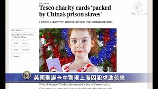 英国圣诞卡中惊现上海囚犯求助信息【中国禁闻】