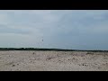 captive reared great lakes piping plovers released at cat islands in lower green bay