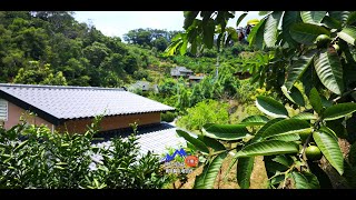 【停止銷售】新竹縣峨嵋萬紫千紅景觀林園東方鄉林農舍#景觀地#資材室#農地#土地開發#木屋#退休生活#果樹#有機農場#露營地