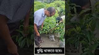 স্বার্থহীন কাজ বৃক্ষরোপণ #viralvideo #Tree #plant #environment #climate #change