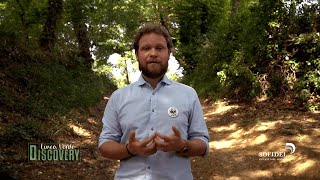 Sofidel a Linea Verde Discovery – Estratto 15 anni di collaborazione Sofidel e WWF
