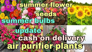 summer flower seeds, bulbs, Tuber, rhyzomes air purifier, indoor plants whatsapp 8273837165