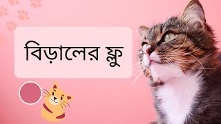 Cat flu causes \u0026 symptoms| বিড়ালের ফ্লু রোগের কারণ, লক্ষণ ও করনীয়সমূহ । Part 1 @apurbopetcare3587