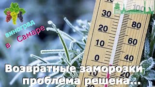 Возвратные заморозки - проблема решена