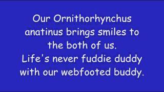 Phineas And Ferb - Everything's Better With Perry Lyrics (HD + HQ)