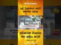 කුඩු දිනේෂ්ගේ කෝටි ගණනක දේපල අධිකරණ නියෝග මත අක්‍රීය කරයි hiru news