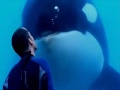 blackfish