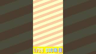 【ポケ森】ベルクッキー838日目 Day838 #shorts #ポケ森コンプリート #acpccomplete #ポケ森 #どうぶつの森 #acpc #animalcrossing