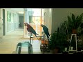 Rude neighbours from hell have pet Macaws that squawk for days on end