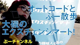 オートコードとぶー散歩　大磯のエクスチェンジマート！　TWIN-LENS REFLEX CAMERA MINOLTA AUTOCORD　【ぶーチャンネル(boo channel)】