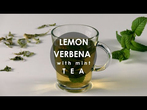 Lemon Verbena Mint Detox Tea Recipe