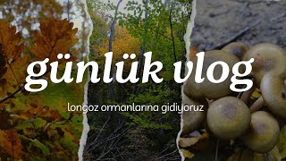 İğneada Longoz Ormanlarında Sonbahar Büyüsü 🍂 | Doğanın Sessiz Renkleri