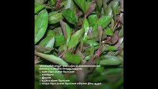 சத்தான #கீரை வகைகள் #keerai vagaigal #spinach varieties | Greens Types #spinach #food கீீீரைபயன்கள்