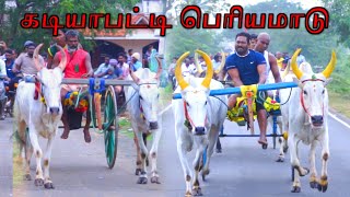 01சிவகங்கை மாவட்டம் கடியபட்டி பந்தயம் 23.01.2025