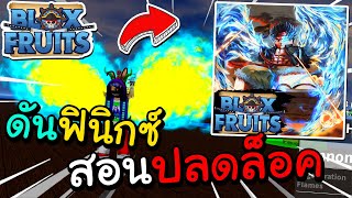 Blox fruit สอนปลดล็อค ดันฟินิกซ์ตื่น!! เงื่อนไขทำฟินิกซ์ตื่น!! {Phoenix Awakening}