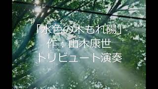 ふきのとう『水色の木もれ陽』作：山木康世トリビュート演奏多重録音㉛