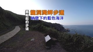 [臺灣東北角自由行攻略] 帶你走入龍洞灣岬步道，一路平坦輕鬆好走又有無敵岬灣藍色海洋美極了！