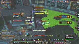 ele shaman ret vs resto shaman hunt (2)