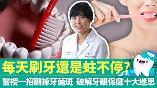 【健康療天室】每天刷牙還是蛀不停？醫授「一招」刷掉牙菌斑 　破解牙齦保健十大迷思｜中時新聞網