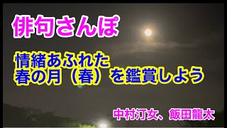 【第８回俳句さんぽ・春の月】情感溢れる春の月（春の季語）中村汀女と飯田龍太の句を鑑賞します。　　　　#俳句朗読#俳句鑑賞#作業用BGM